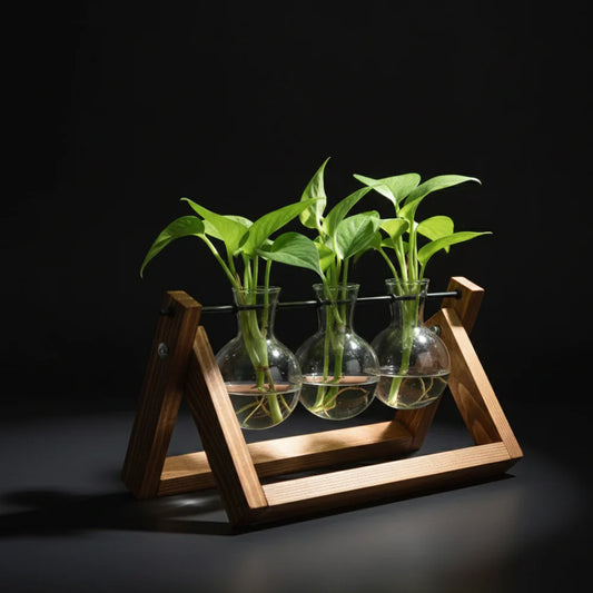 Hydroponic Glass Bulb Vase with Wooden Stand for Home Office Decor